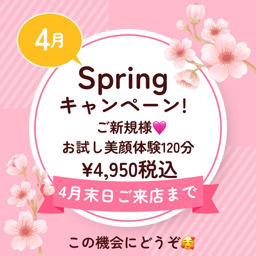 🌸Springキャンペーンご案内🌸